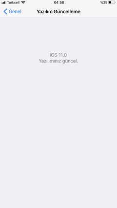 IOS 11   GM   çıktı 7 plus public beta kurulu idi, 2 küsür gb indiriyorum şimdi