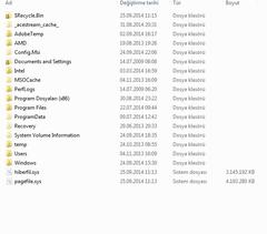  Gizli sistem dosyaları görünmüyor.