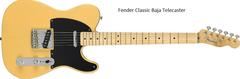  Fender Gitar bilgisi