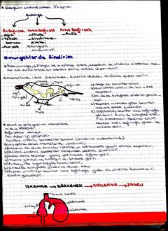  [DERS NOTLARIM]-YILDIZLAR EKLENDİ