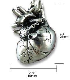  14 Mart Tıp Bayramı İçin Özel Anatomik Kalp Modelli Kolye Şok Fiyata!Acele Edin