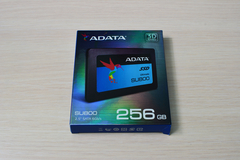 ADATA Ultimate SU800 256GB (Kullanıcı İncelemesi)