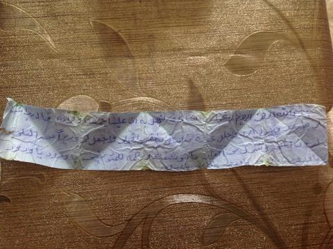 Evde muska gibi bir şey buldum (ss li) EDIT: yeni ss ler geldi