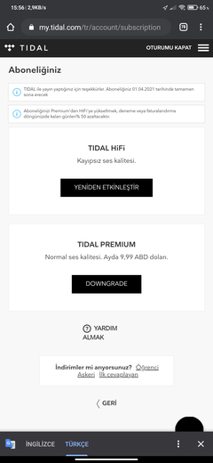 4 Aylık TIDAL HiFi 2 TL