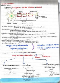  [DERS NOTLARIM]-YILDIZLAR EKLENDİ