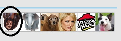 REKLAMLARDAN PARA KAZANMA - BAZI PTC SİTELERİ ,KAYIT OLMAK VE KULLANIMI