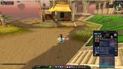 Silkroad Online R Thebes Serverinda 125 Wiz-Bard 14 legend Staff