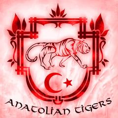  Tigers Of The Anatolia  Guildi Tera'nın Faraya serverinde Acılmıştır.