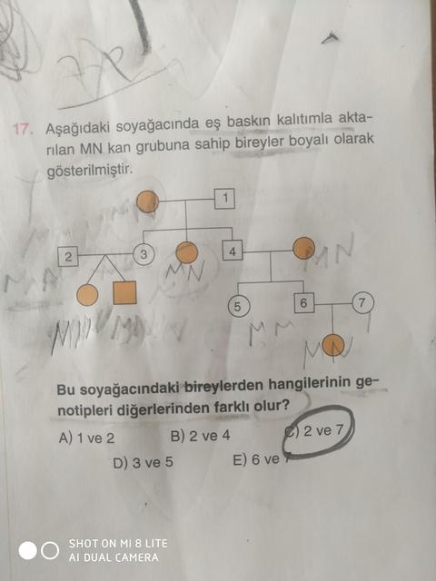 MN Kalıtımı