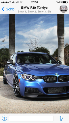  BMW F30