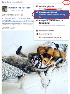  Facebook beğendiğiniz foto ve yorumları arkadaşlarımın görmesini engellemek K.ÇÖZÜM