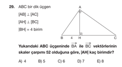  Vektör sorusu yardım