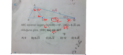  Geometri Sorularım Yardım Lütfen (Birey içerir.)