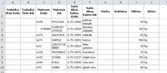 Excel yardım örnek ektedir