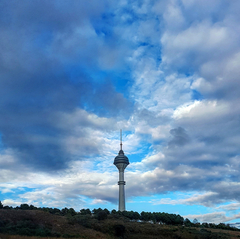 [sizer]📷 CEP TELEFONU FOTOĞRAFÇILIĞI [ANA KONU] 📷