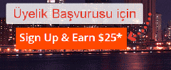 Payoneer Nedir? > İşlem Ücretleri > Hesap Açma ve Destek