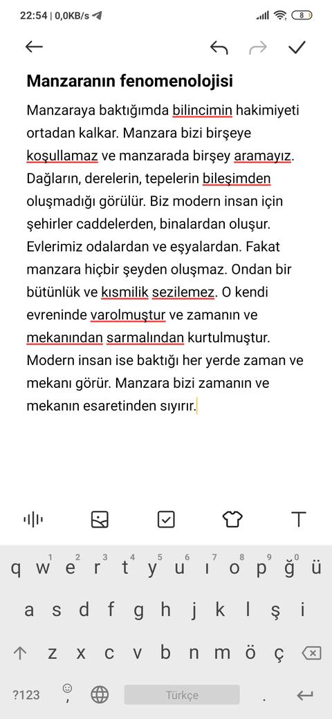 Felsefi denememi yazıyorum(ssli)