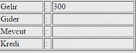 ASP ile Access Sorunu