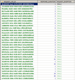 web sitesi geliştirmek için nasıl bir yol izlemeli ?