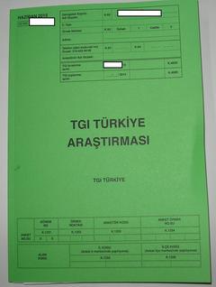  TGI Türkiye Araştırması