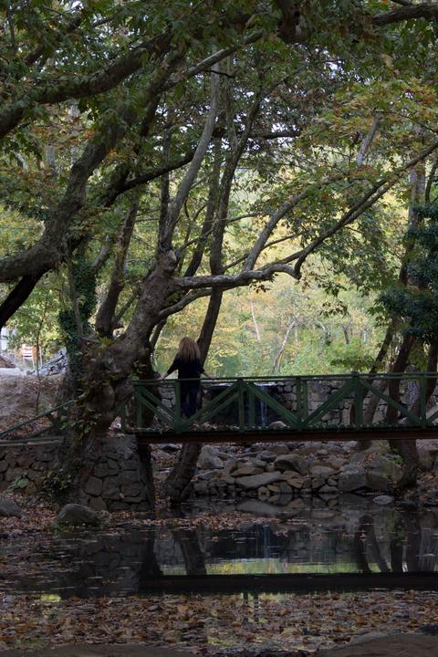 Taktik-sergi-amatör çekimler içerir