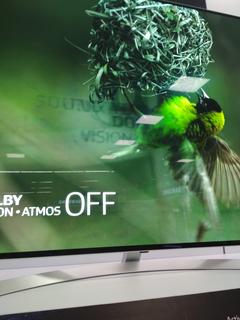 LG'nin OLED TV'sinde oluşan ekran yanığı şirketi utandırdı