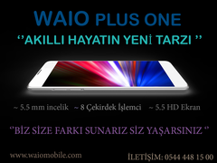  Waio Plus One