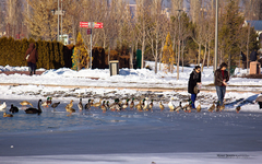  Eskişehir'liler; ve  Eskişehir'de yaşayanlar