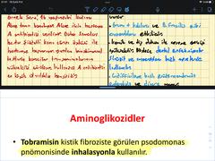 GoodNotes ve notability parasına değer mi