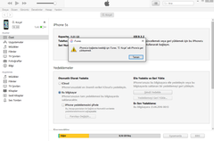  Itunes yedeğimi iPhone 5S'ime geri yükleyemiyorum