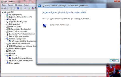 Genel pnp olmayan monitör sorunu? Çözünürlük 1600 x 900 olmuyor?