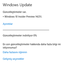  Windows 10 Insider Preview 14251 TÜRKÇE (27.01.2016)