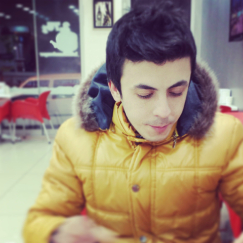 şu resme ufak bir ps alabilir miyim