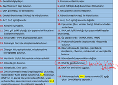 Yardım Lütfen? mRna Sırası-ÇIKMIŞ SORU