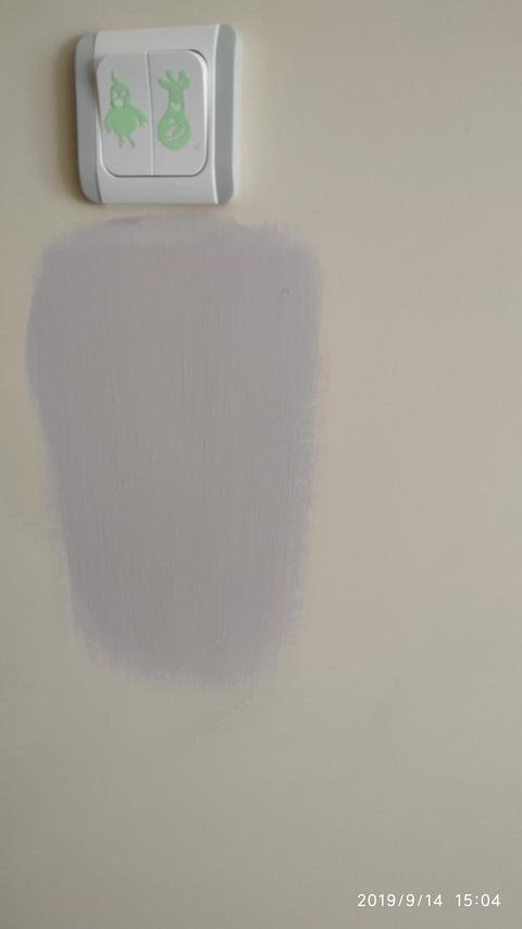 Plastik Boya mı Silikonlu boya mı ?