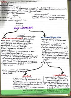  [DERS NOTLARIM]-YILDIZLAR EKLENDİ