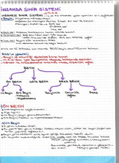  [DERS NOTLARIM]-YILDIZLAR EKLENDİ