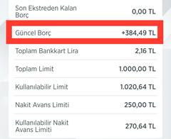 Güncel Borç +