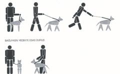  Köpek Eğitimi
