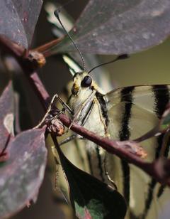  Canon EOS 650D KULLANICILARI KULÜBÜ