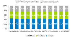 BTK verileri yayınladı