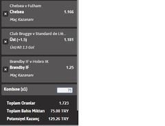 Samgur Bets Kasa Sistemi (KASA 5 pzt)