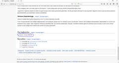  Wikipedia.org'a Ekli Oyun Sitesi Satılılık