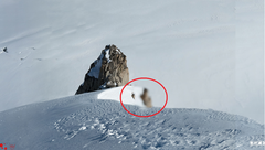  Beyler 300 küsür gigapiksellik fotoğraf çok uzak yerden çekilmiş bir yerden adamın şapkasına kadar