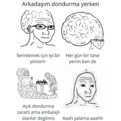 BEYİNSİZ REİS  AKIMI  :D  [ SSLİ ]