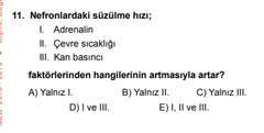 Nefronlardaki süzülme hızı ?