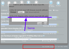 Asus Dsl-N17u