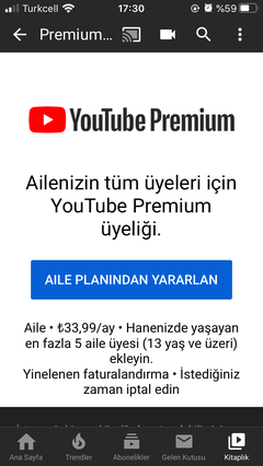 YouTube Premium Kardeşliği - ANAKONU