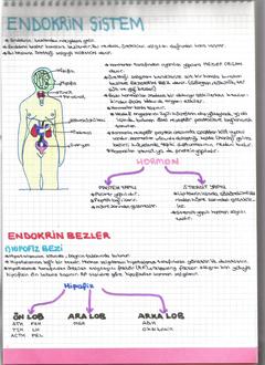  [DERS NOTLARIM]-YILDIZLAR EKLENDİ