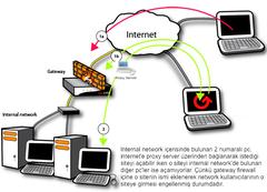  yurt interneti hakkında